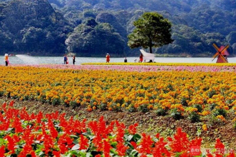 红叶翩跹 百花争艳 石门公园偶像剧级的美景不容错过