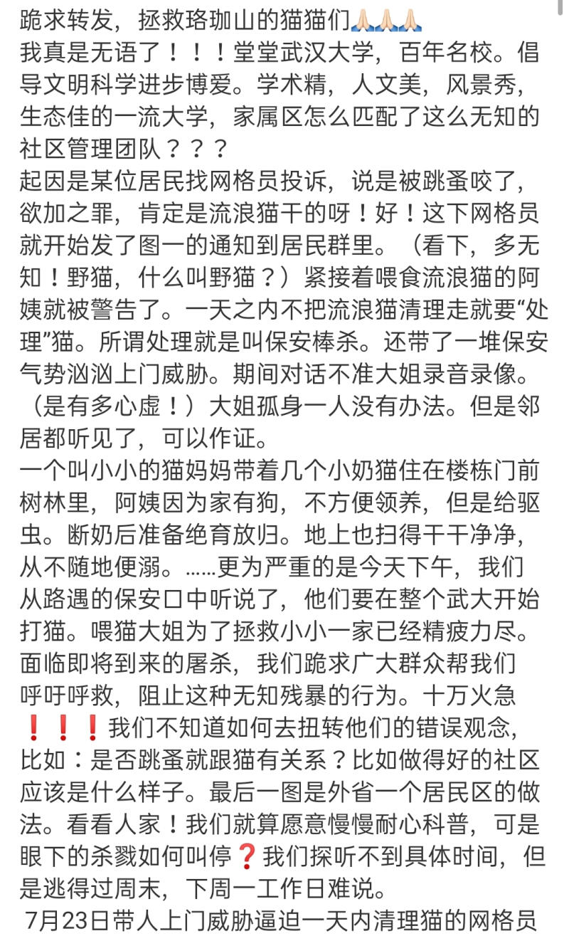 你给流浪猫猫的爱,带来的是不是互相伤害?(图2) 1080x1775_c888e0dfe369853d.jpg