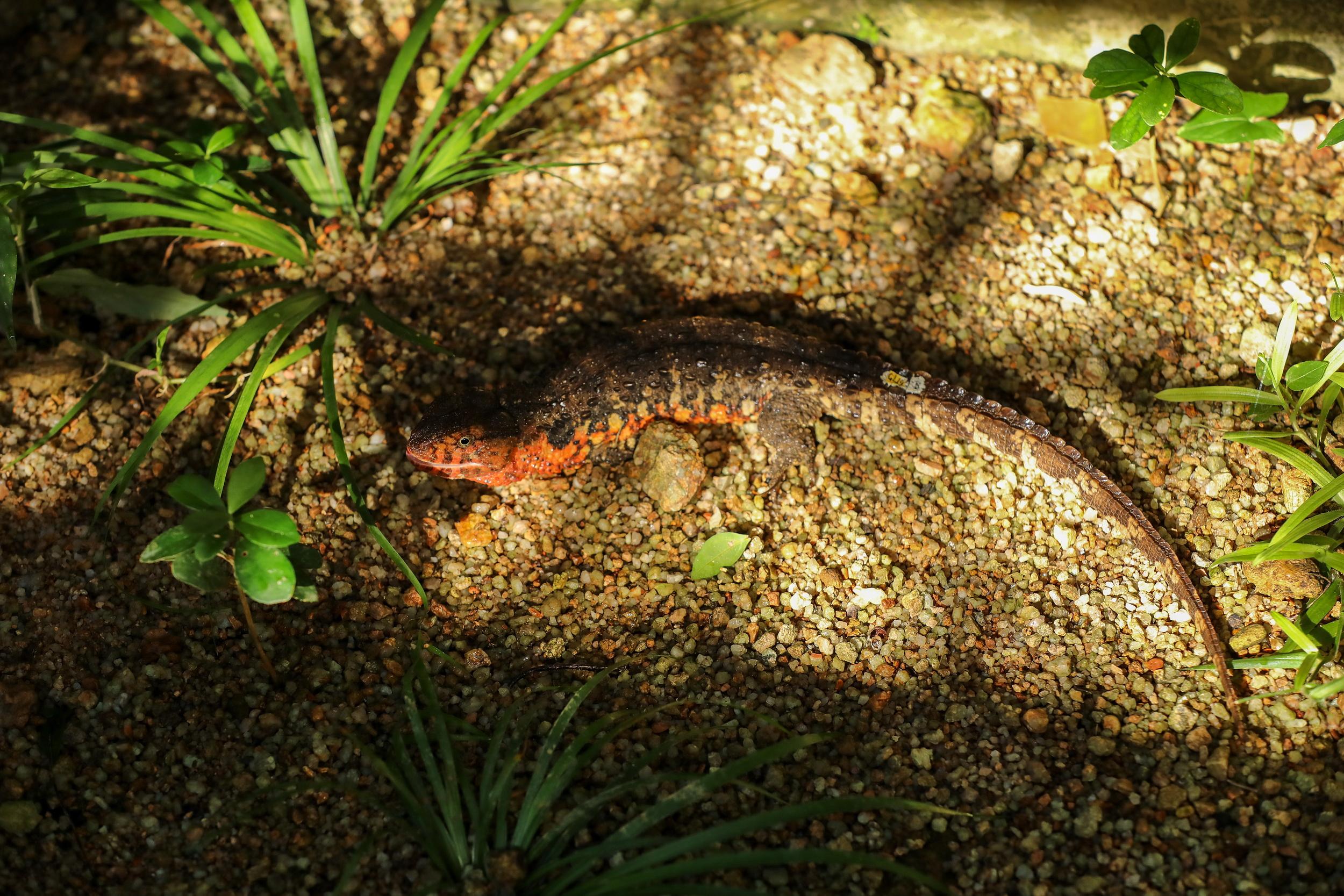 2500x1667_61640c269e6e3.jpg