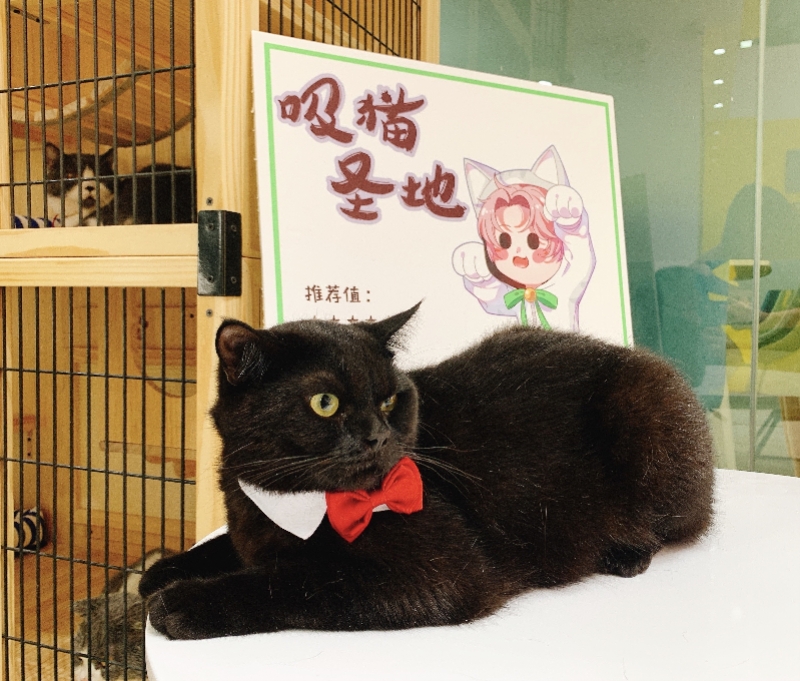 imagefile WechatIMG3529.jpeg