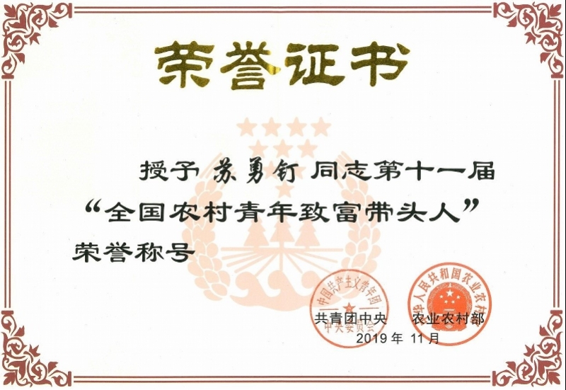 致富带头人情况简介(致富带头人情况简介范文)