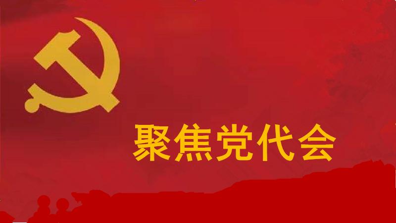 专题头图