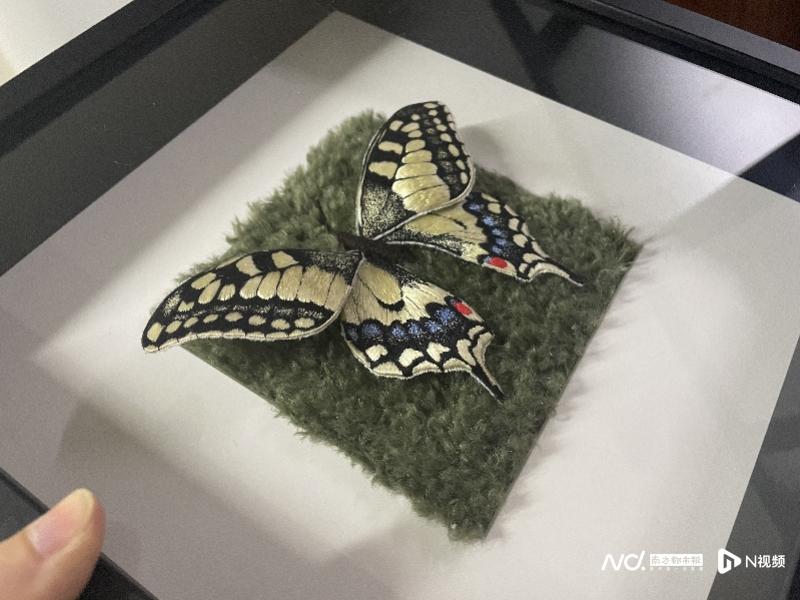 imagefile 800x600_624547ff6e33f.jpg