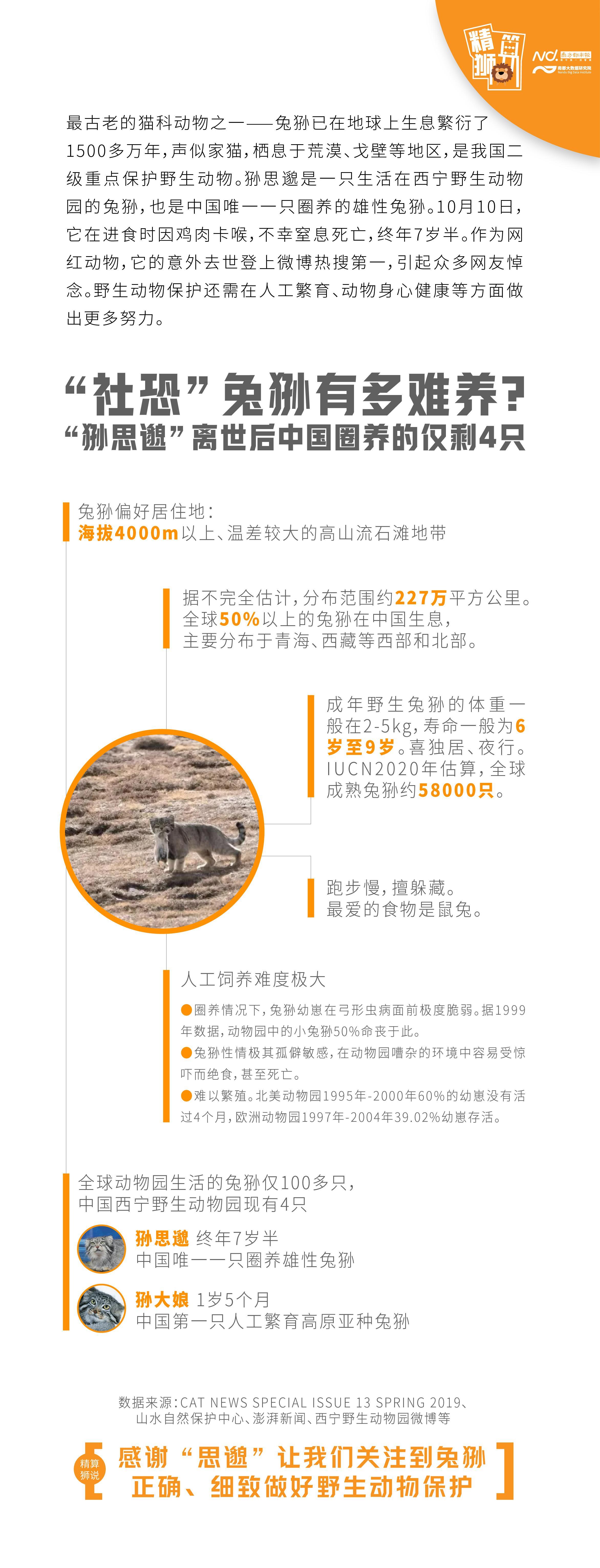 社恐”兔狲有多难养？狲思邈离世后中国圈养的仅剩4只