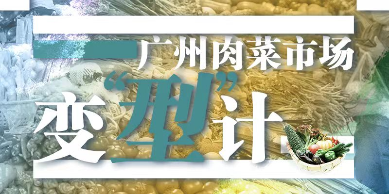 专题头图