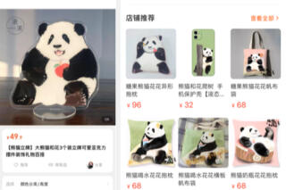 【レア品！新品・未使用品】和花ちゃん視点の限定品写真集「大熊猫的朋友圏」 四川成都+大熊貓基地+三星堆精品1日遊（網紅大熊貓花花+4800年前
