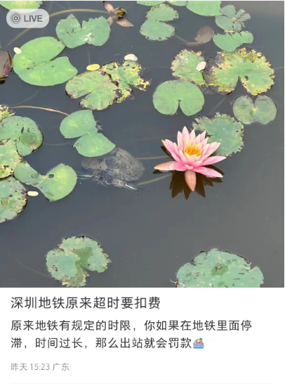 406x546_6437b328e257e.png