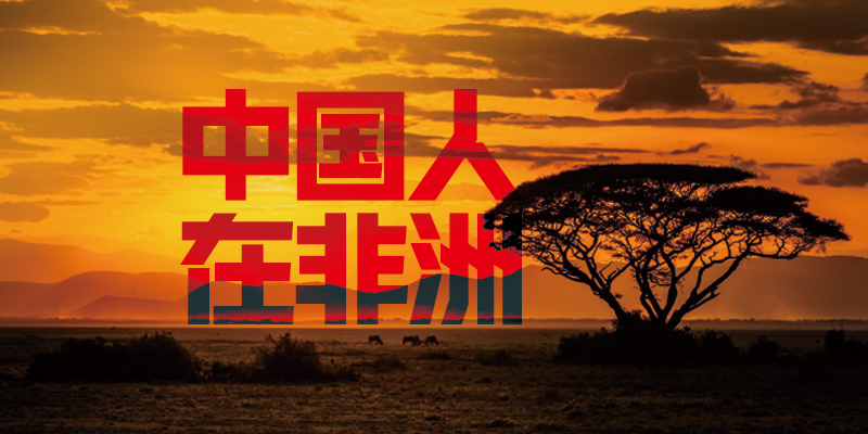 专题头图