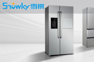 雪祺电气(001387)涨停分析与相关行业动态解读