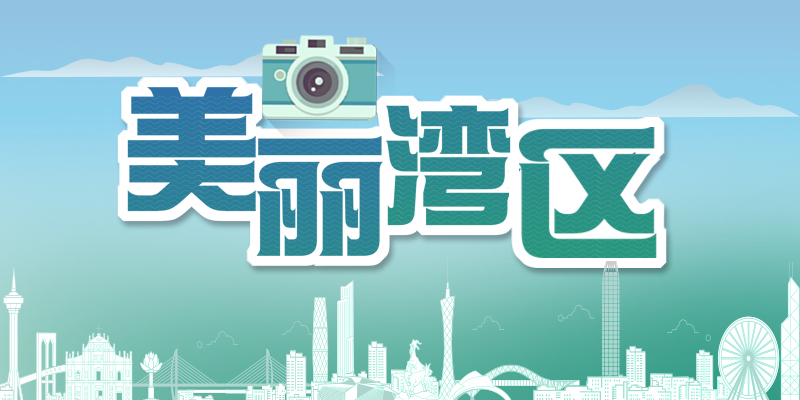 专题头图