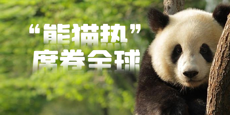 专题头图