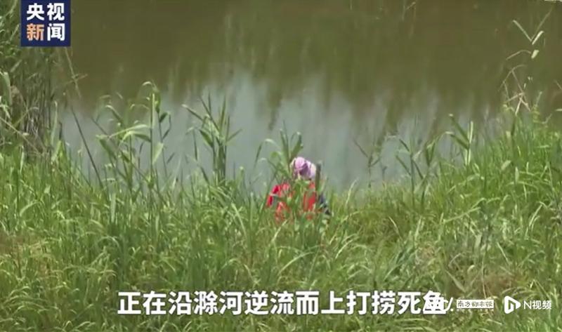 imagefile 图片