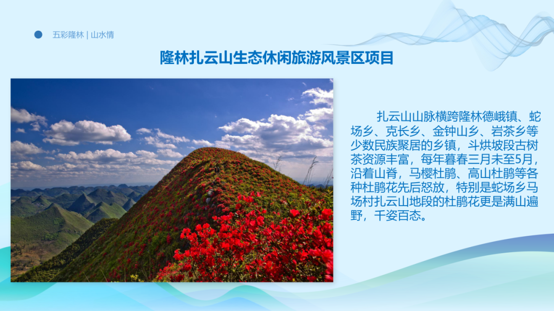 1080x608_c3f736b1c51ce410.jpg