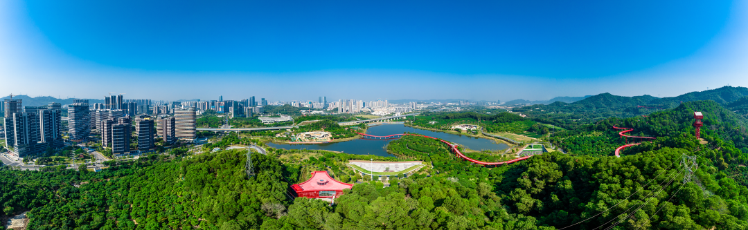 1080x333_bac00efa6364d3f0.jpg
