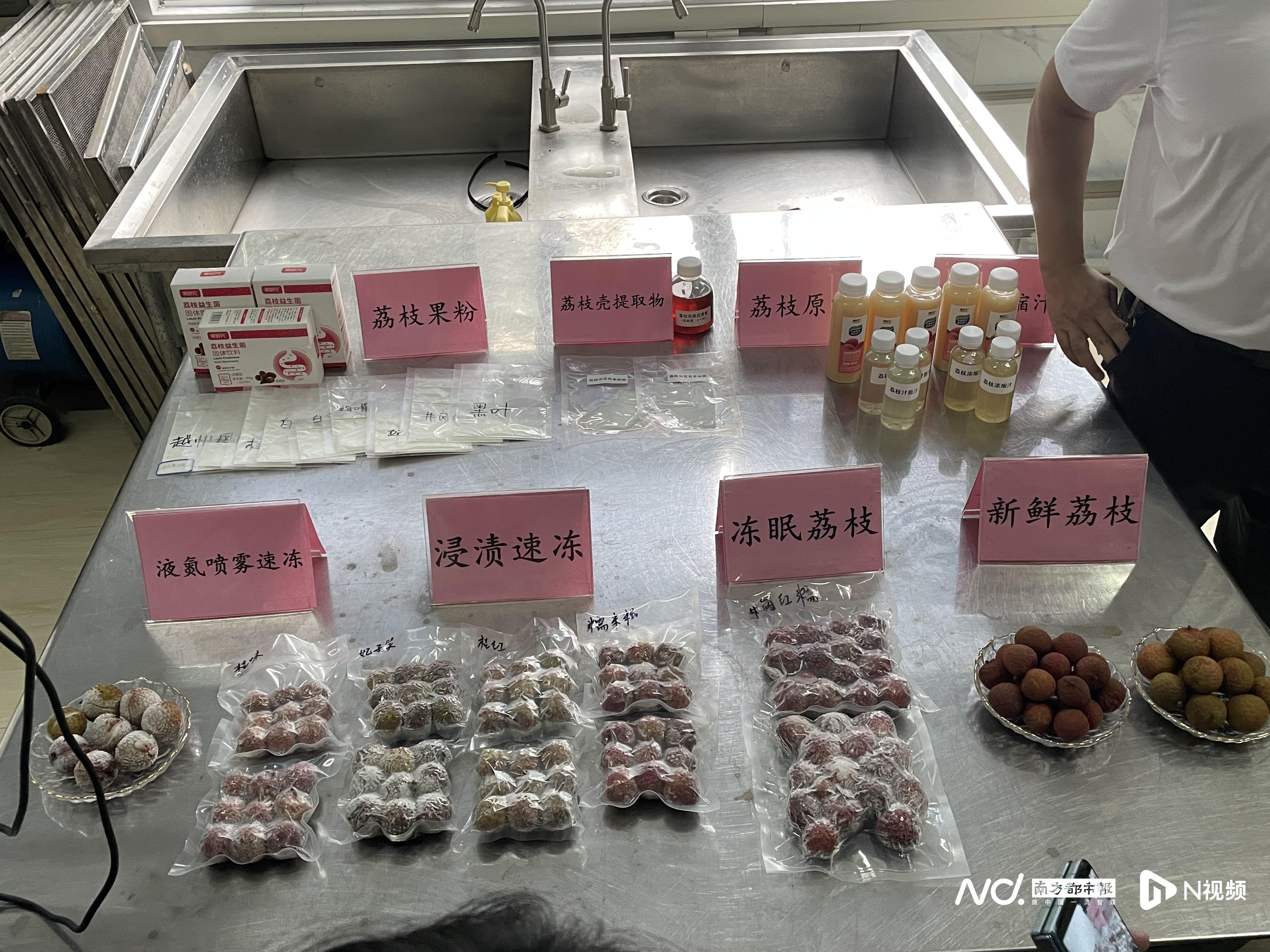 保鲜一年!从“离枝”那一刻,广州荔枝就以多项科技“抢鲜”