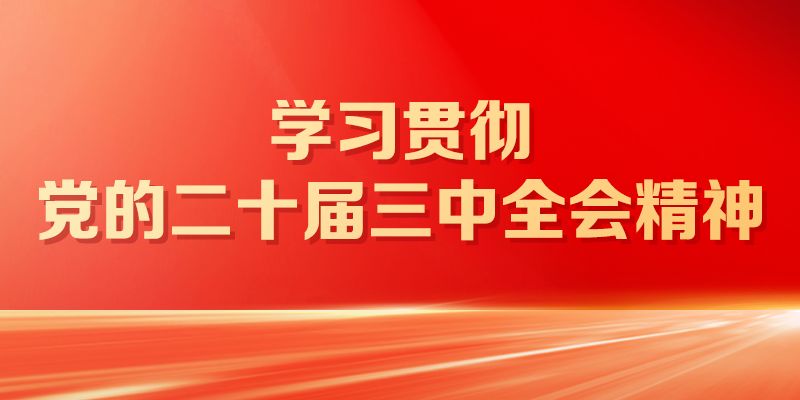 专题头图