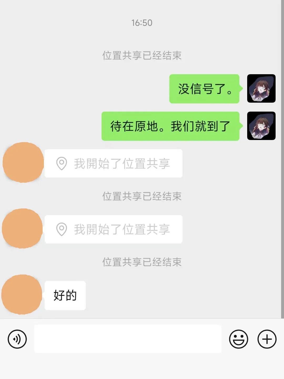 1080x1440_ac0369ad68d30a95.jpg