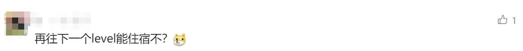 1036x102_66bb5da5d4236.jpg