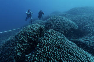 750x500_6735f7e27e6be.png?x-