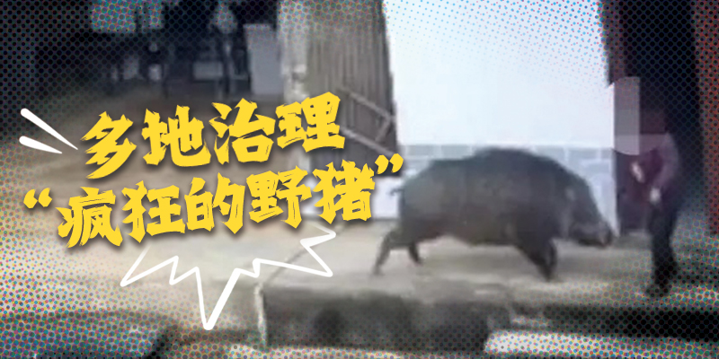 专题头图