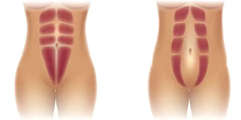 1016x508_d64ffb28f4b9ec30.jpg