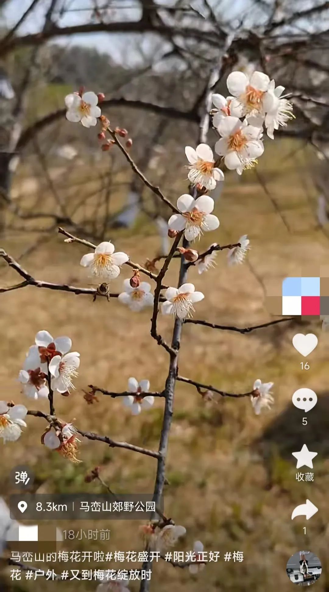 1080x1942_6122b6a62838023a.jpg