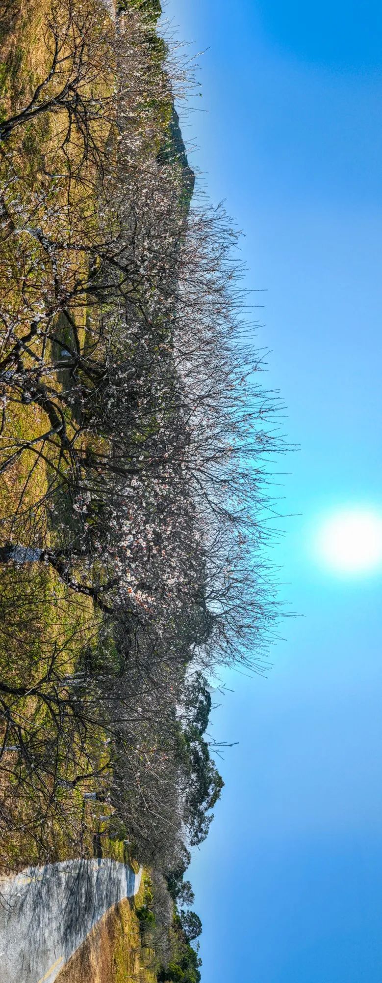 779x2000_4874f1d037693cfc.jpg