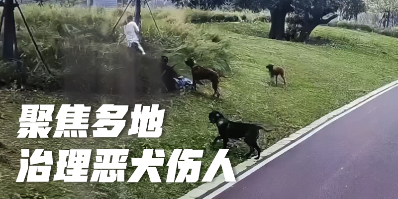 专题头图