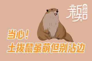 当心！学哪吒“收”土拨鼠？国家卫健委紧急提醒：不要碰