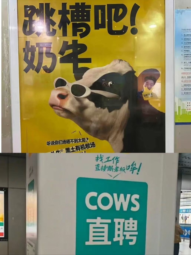 新广告被指嘲讽打工人，认养一头牛为何要拿“奶牛”来营销？