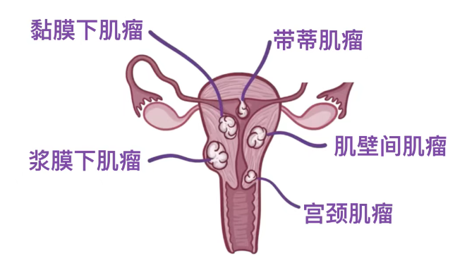 662x373_d3a3a78837693cfc.jpg