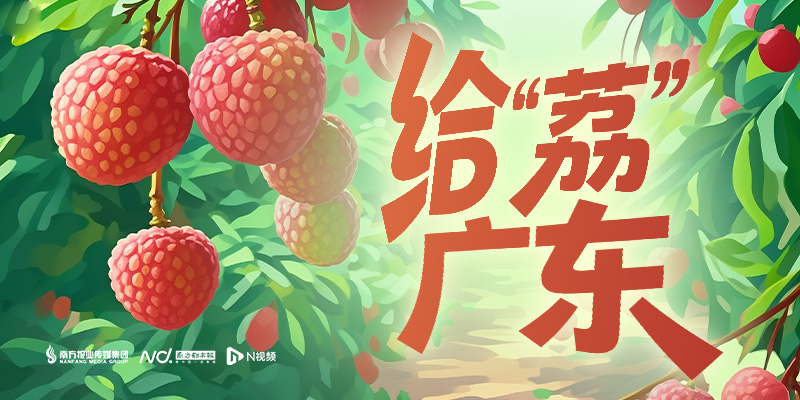 专题头图
