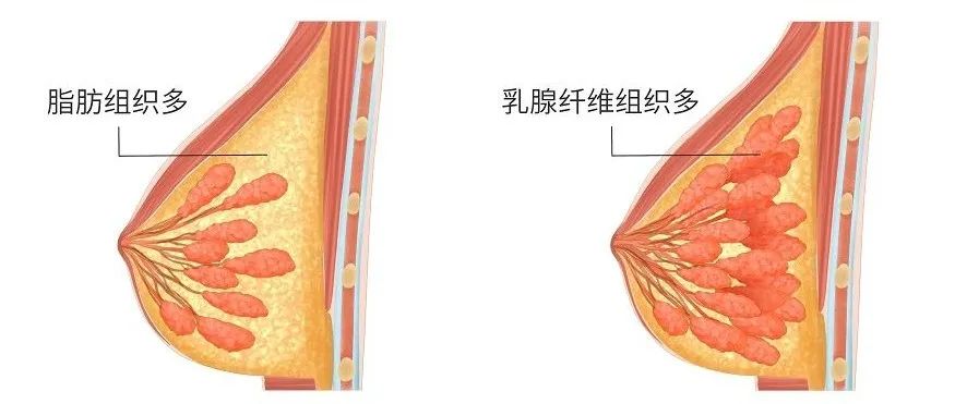 875x371_c0da209faab32389.jpg
