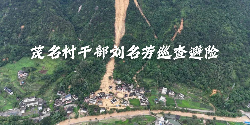专题头图