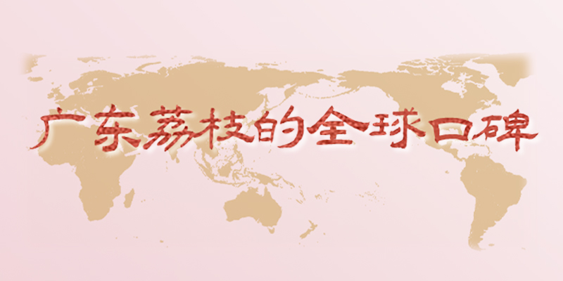 专题头图