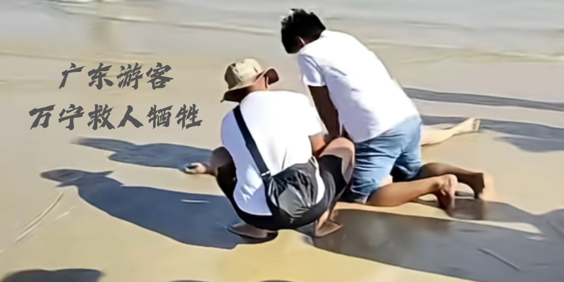 专题头图