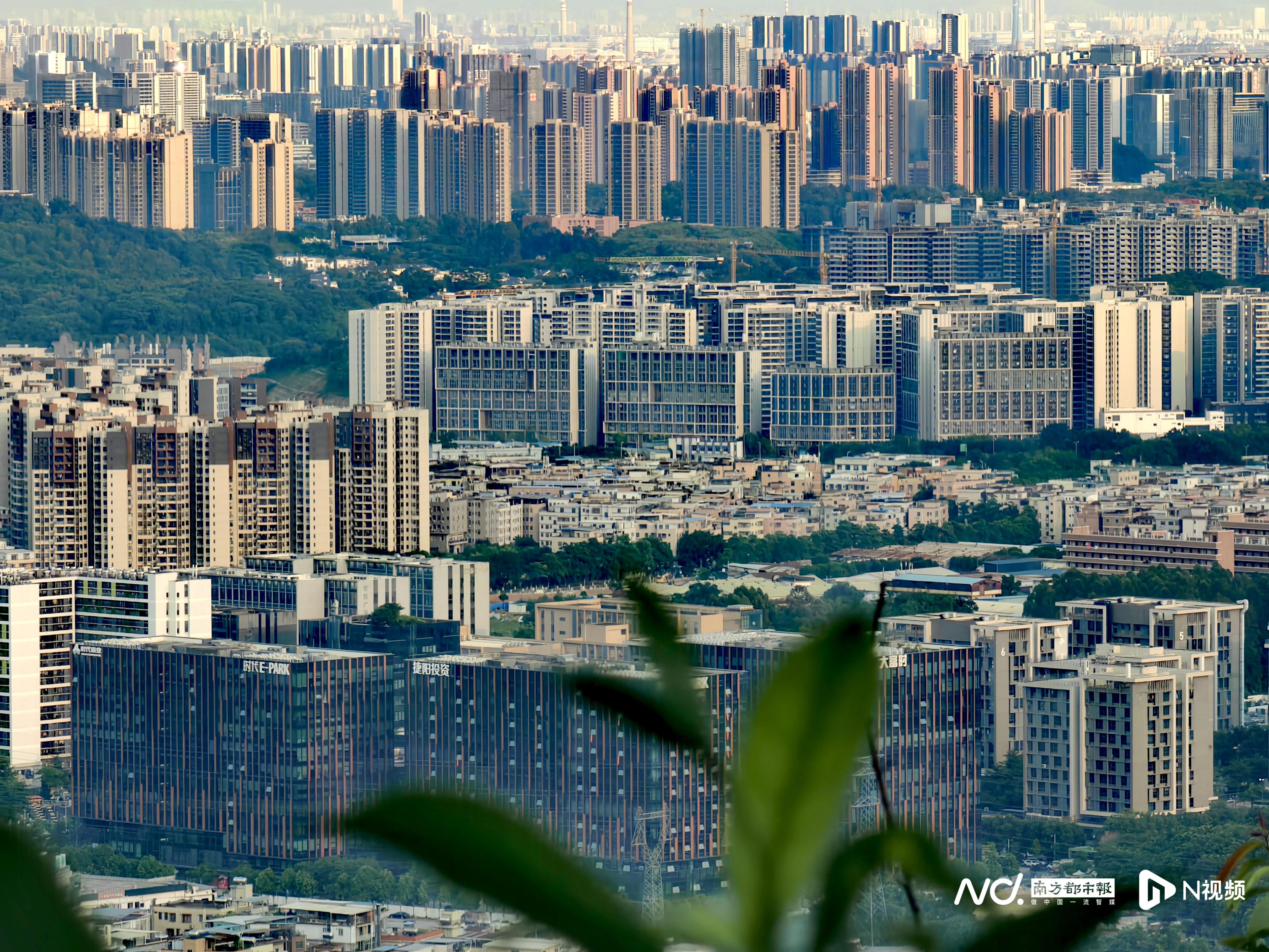 一手 樓 數量 (99) 사진