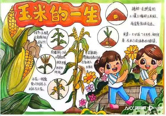 560x394_68dba55773a52.jpg?X-Amz-Content-