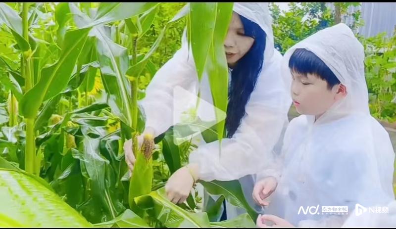 800x463_68dba556e712f.jpg?X-Amz-Content-