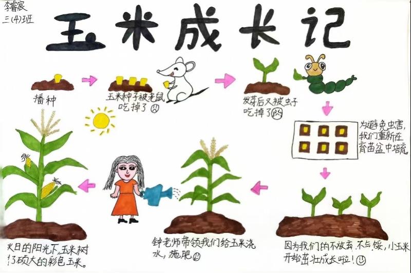 800x532_68dba556de7a3.jpg?X-Amz-Content-