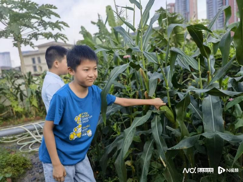 800x600_68dba556de575.jpg?X-Amz-Content-