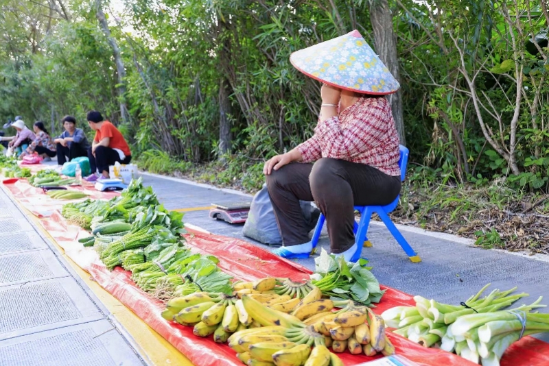 imagefile 图片