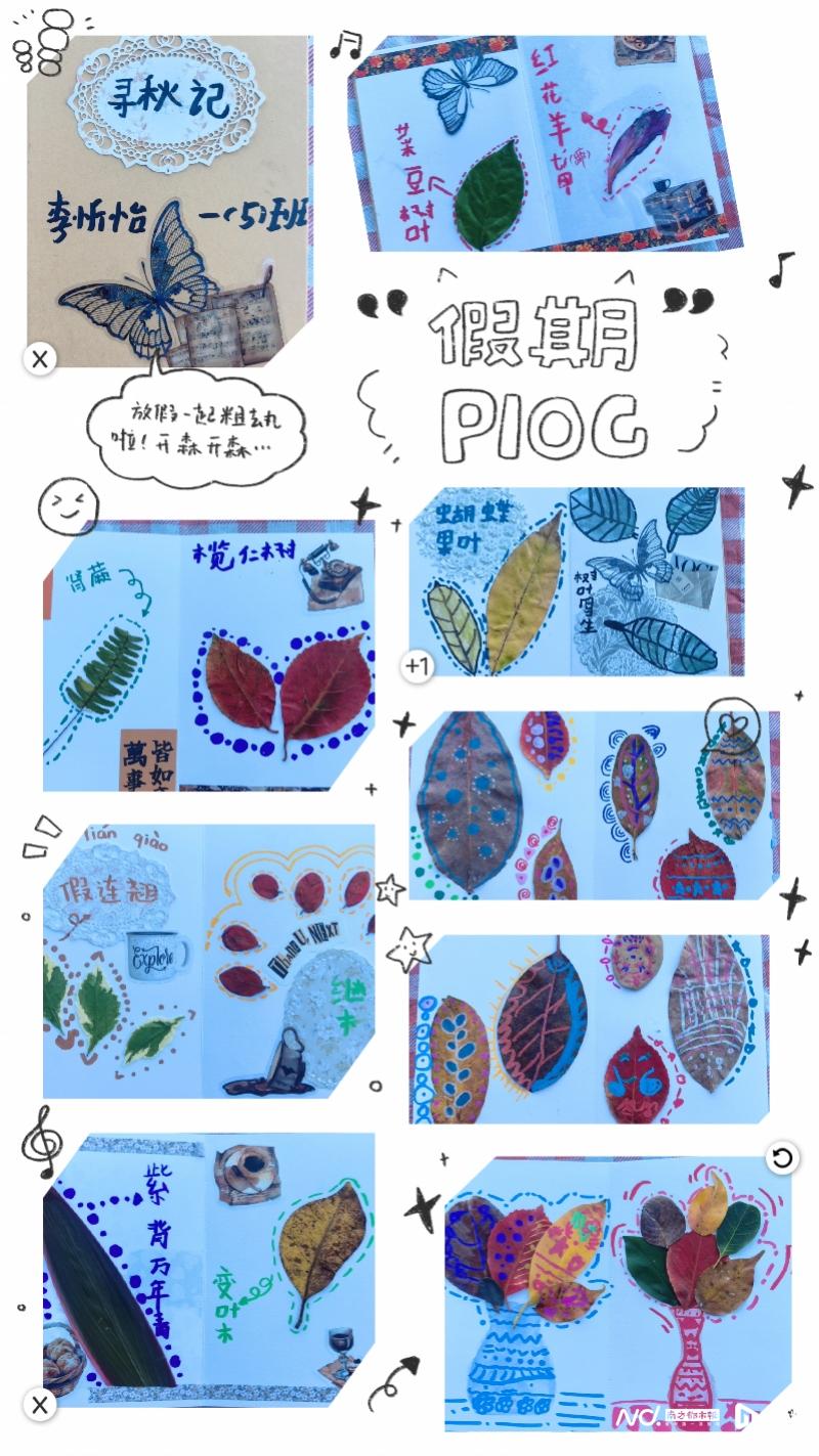 800x1423_6922de774fc61.jpg?X-Amz-Content