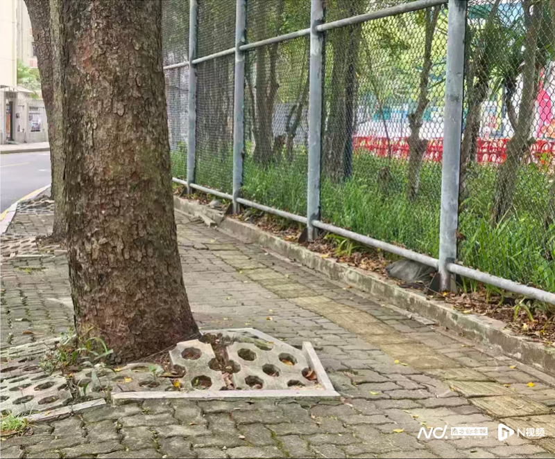 imagefile 800x663_69280399653a3.png?X-Amz-Content-