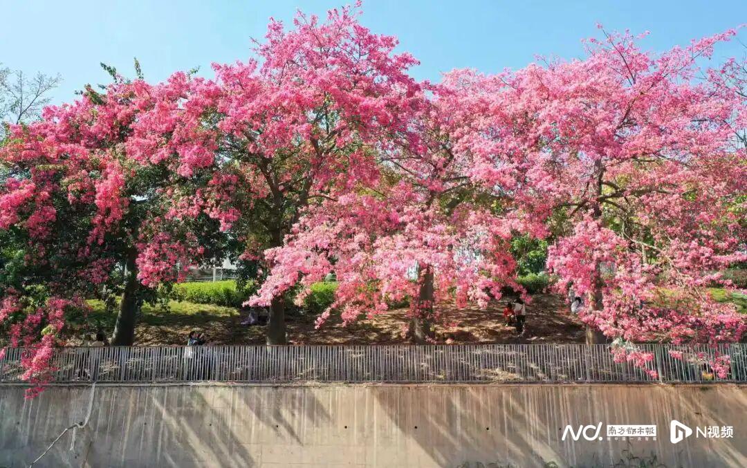 1080x677_6935308caa44d.jpg?X-Amz-Content