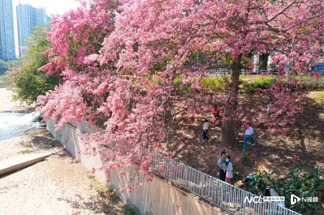 1080x719_6935308c955e6.jpg?X-Amz-Content