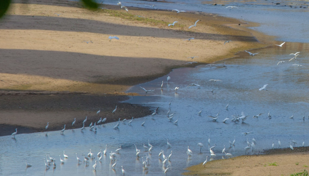 640?wx_fmt=png&from=appmsg&tp=wxpic&wxfr