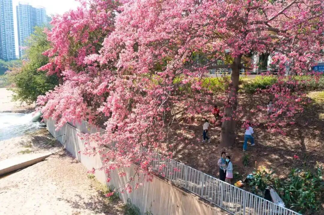 640?wx_fmt=jpeg&from=appmsg&wxfrom=5&wx_