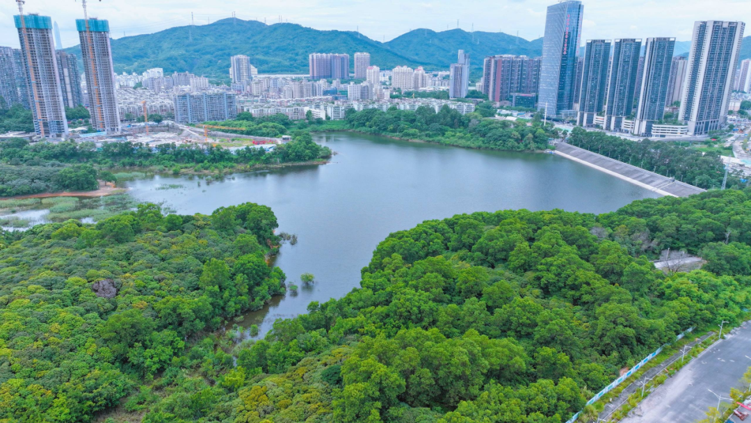 640?wx_fmt=png&from=appmsg&tp=webp&wxfro