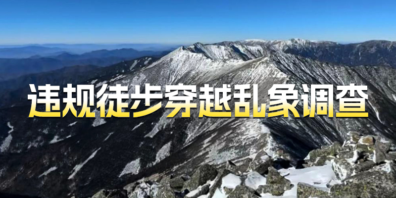 专题头图
